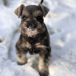 Meet your Posher, Abigayle